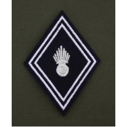 Losange Arme du Dragon Sous-officiers / Officiers (VENDU PAR 2)