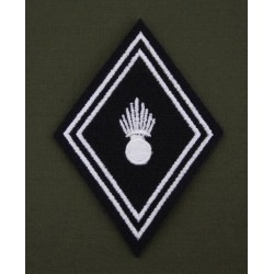 Losange Arme du Dragon Troupes (VENDU PAR 2)