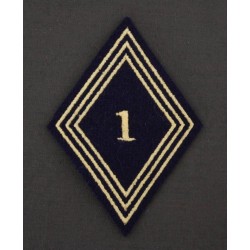 Losange 1° Régiment de Chasseurs d'Afrique Troupes (VENDU PAR 2)