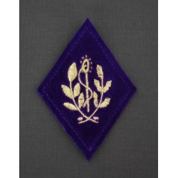 Losange Chirurgiens / Dentistes (VENDU PAR DEUX)