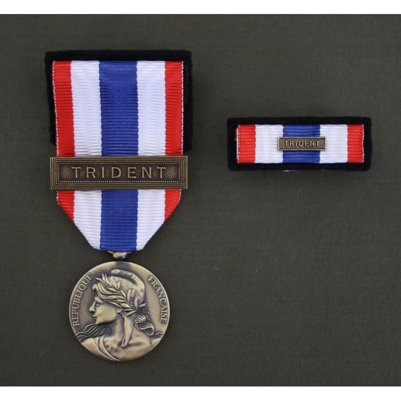 Barrette dixmude pour Médaille de la Protection Militaire du Territoire -  Aviso médailles