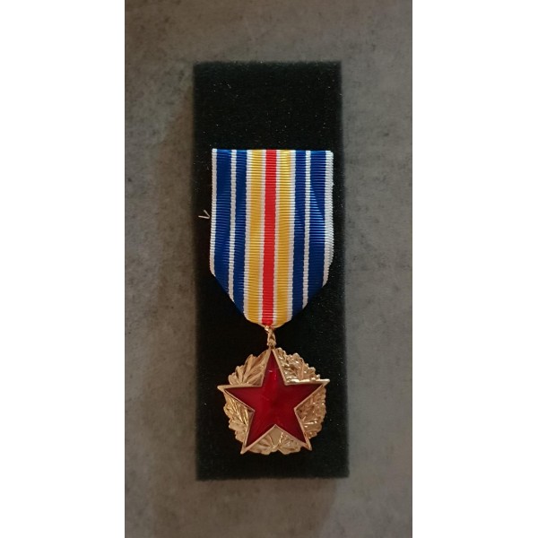 Médaille des Blessés 