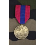 Médaille Défense Nationale Bronze avec agrafe