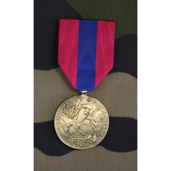 Médaille Défense Nationale Bronze avec agrafe