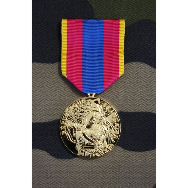 Médaille défense Nationale Or avec agrafe