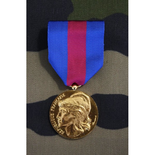 Médaille Service Militaire Volontaire Bronze
