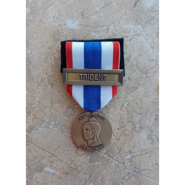 Médaille Protection Militaire du Territoire avec barrette et agrafe au choix