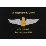 25 Régiment du Génie de l'Air