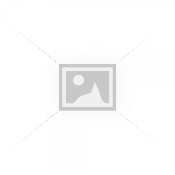 Médaille Sécurité Intérieur Bronze